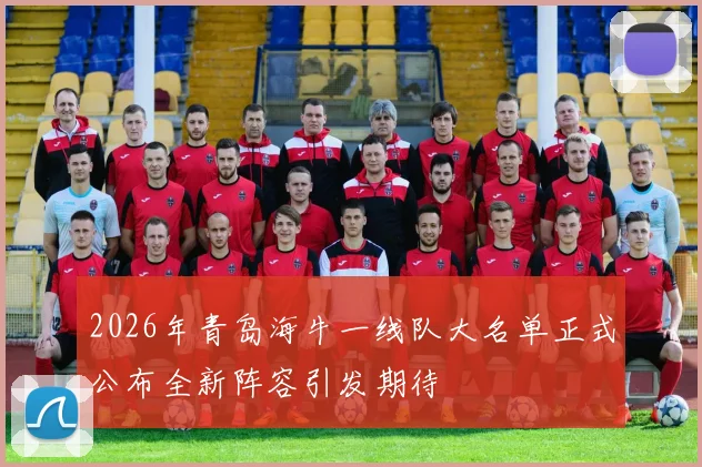 2026年青岛海牛一线队大名单正式公布全新阵容引发期待
